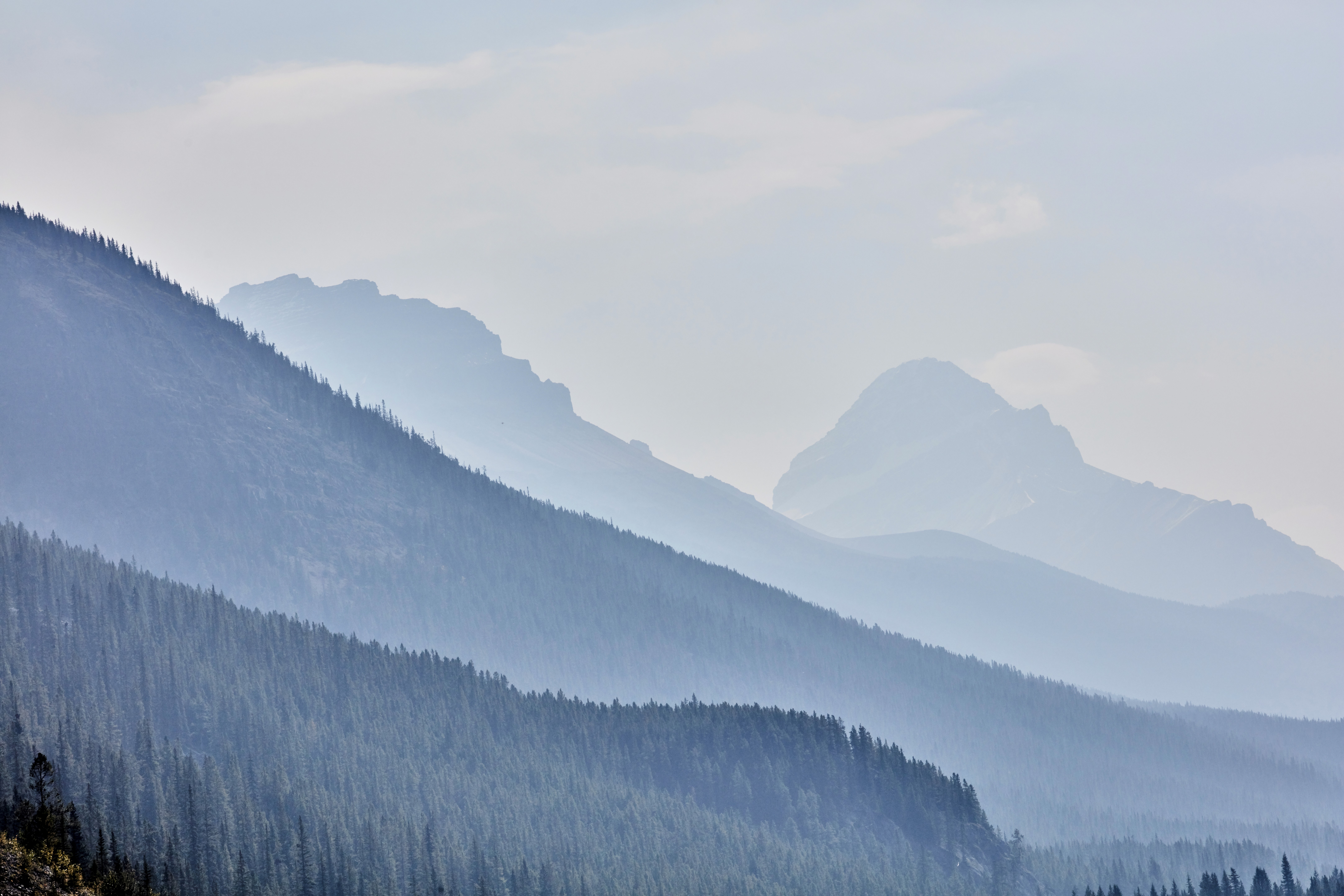 Spaces That Inspire - Construktion X Framer Templates