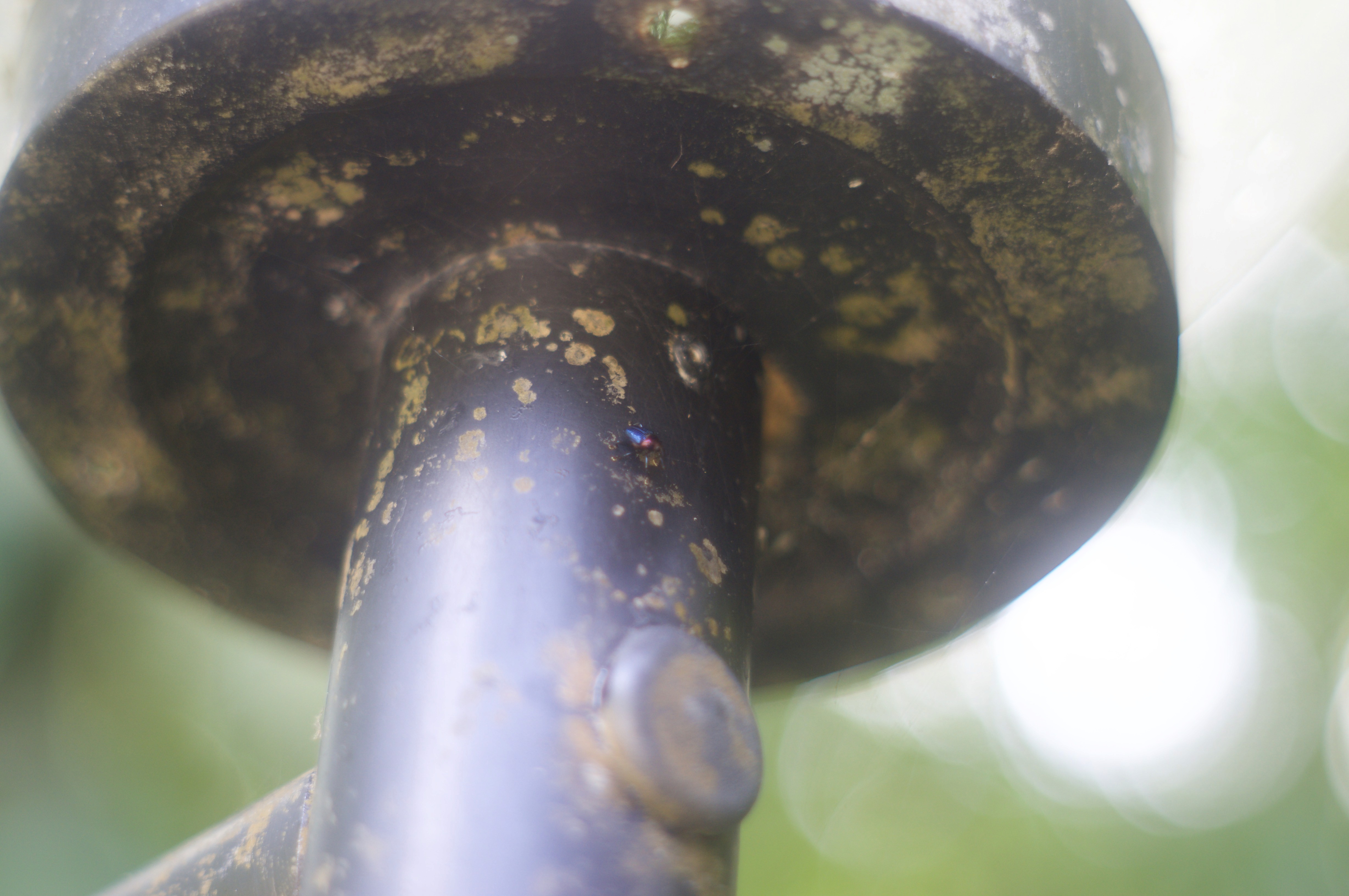 Photographic study 1