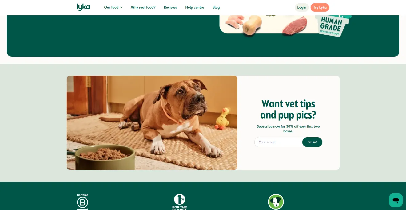 Lyka's inline email form showing a photograph of a dog resting near a food bowl on the left and a 30% discount offer