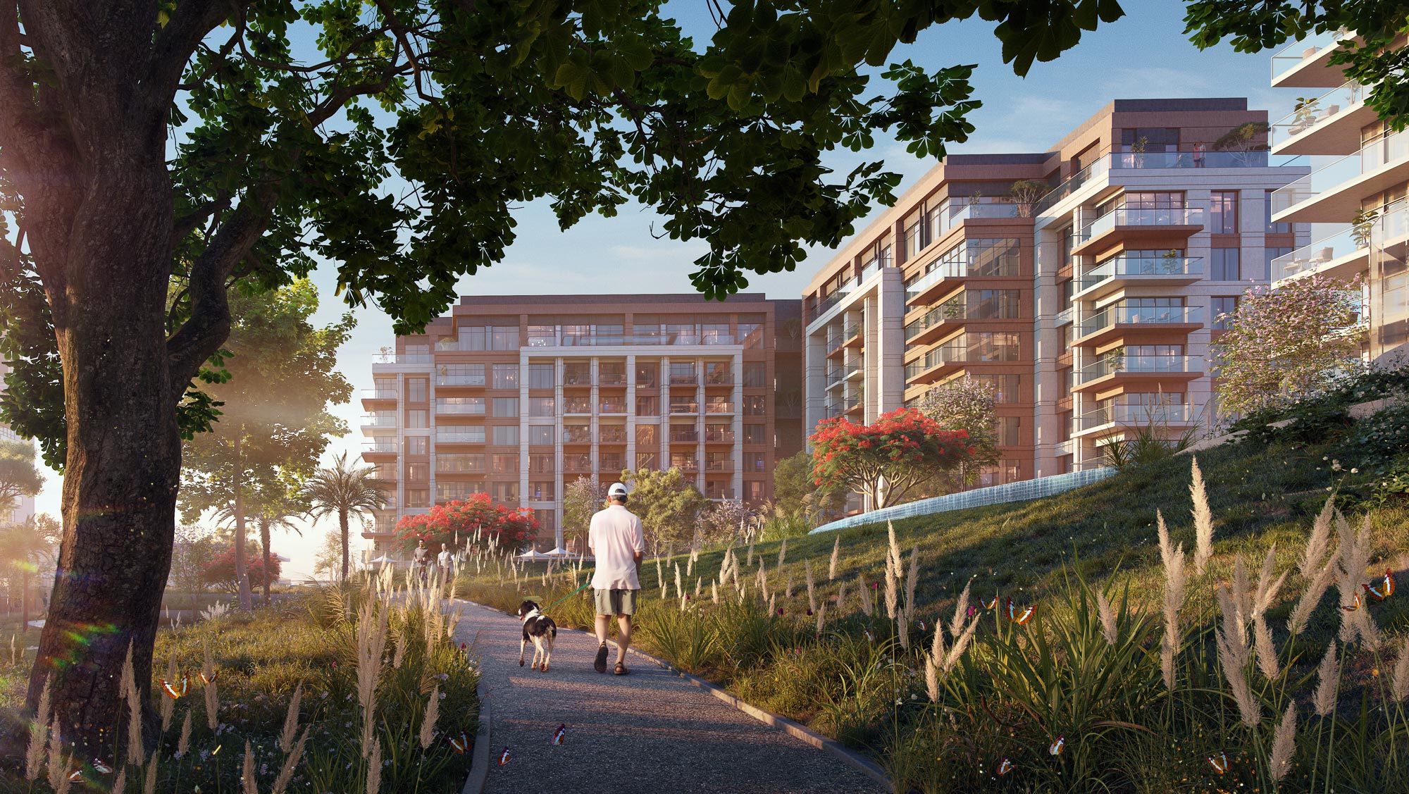 Aerial perspective from the rooftop of Thyme Central Park apartments in Dubai, displaying the expansive city skyline.