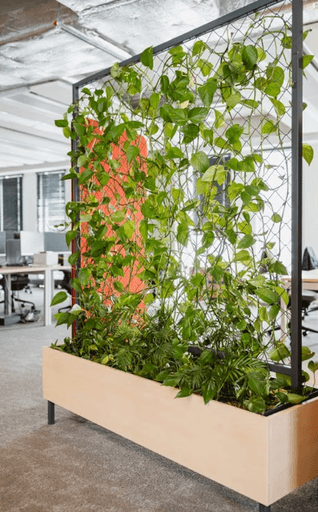 instalacja roślin w biurowcu