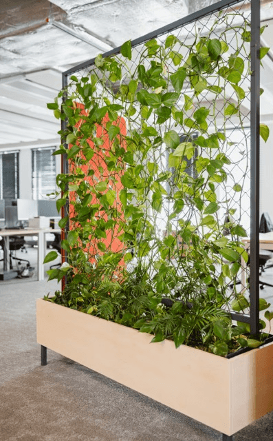 instalacja roślin w biurowcu