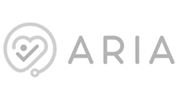 Navibis Logo