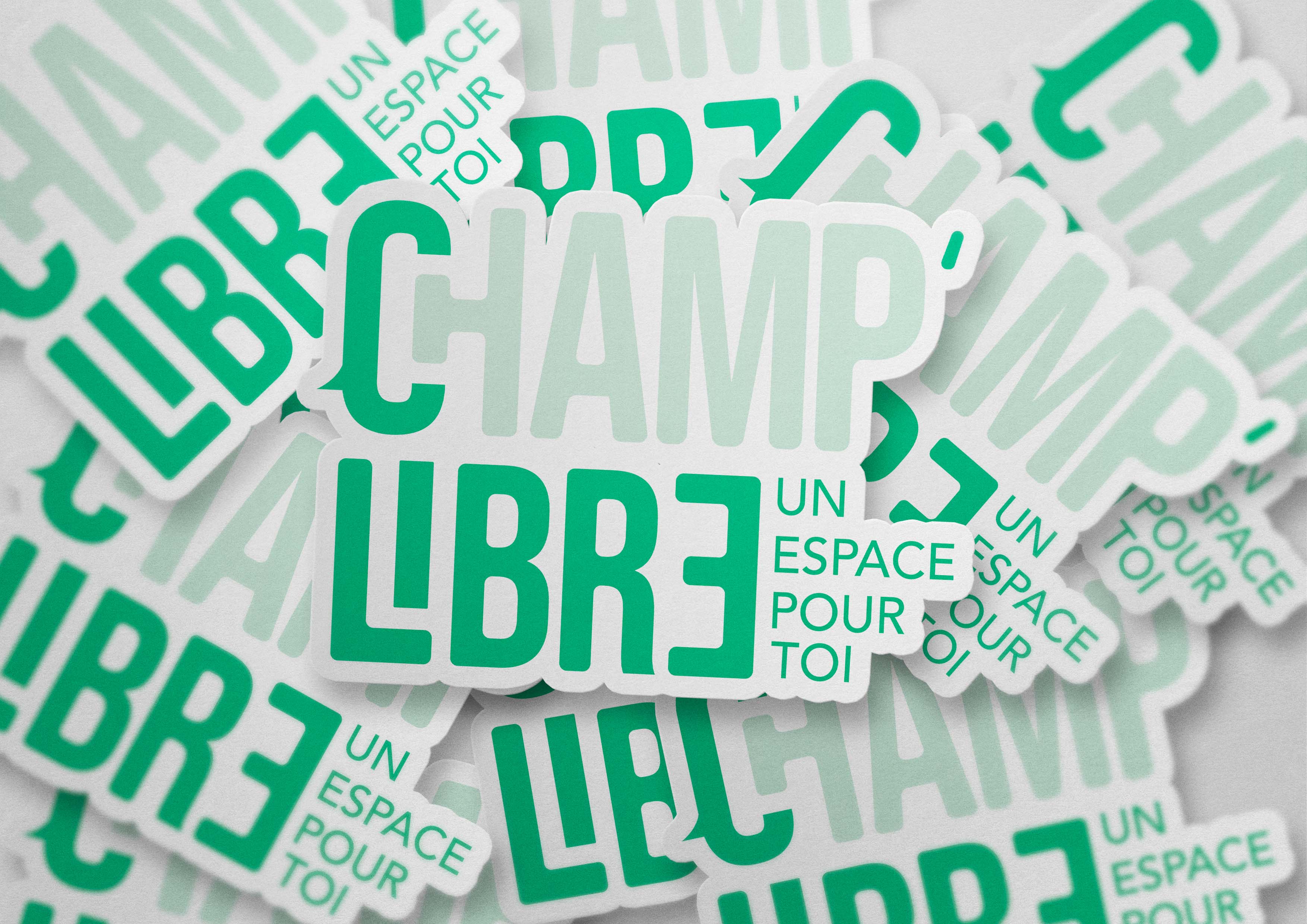 Logo design graphique Nantes Tess et Wallis Foucher