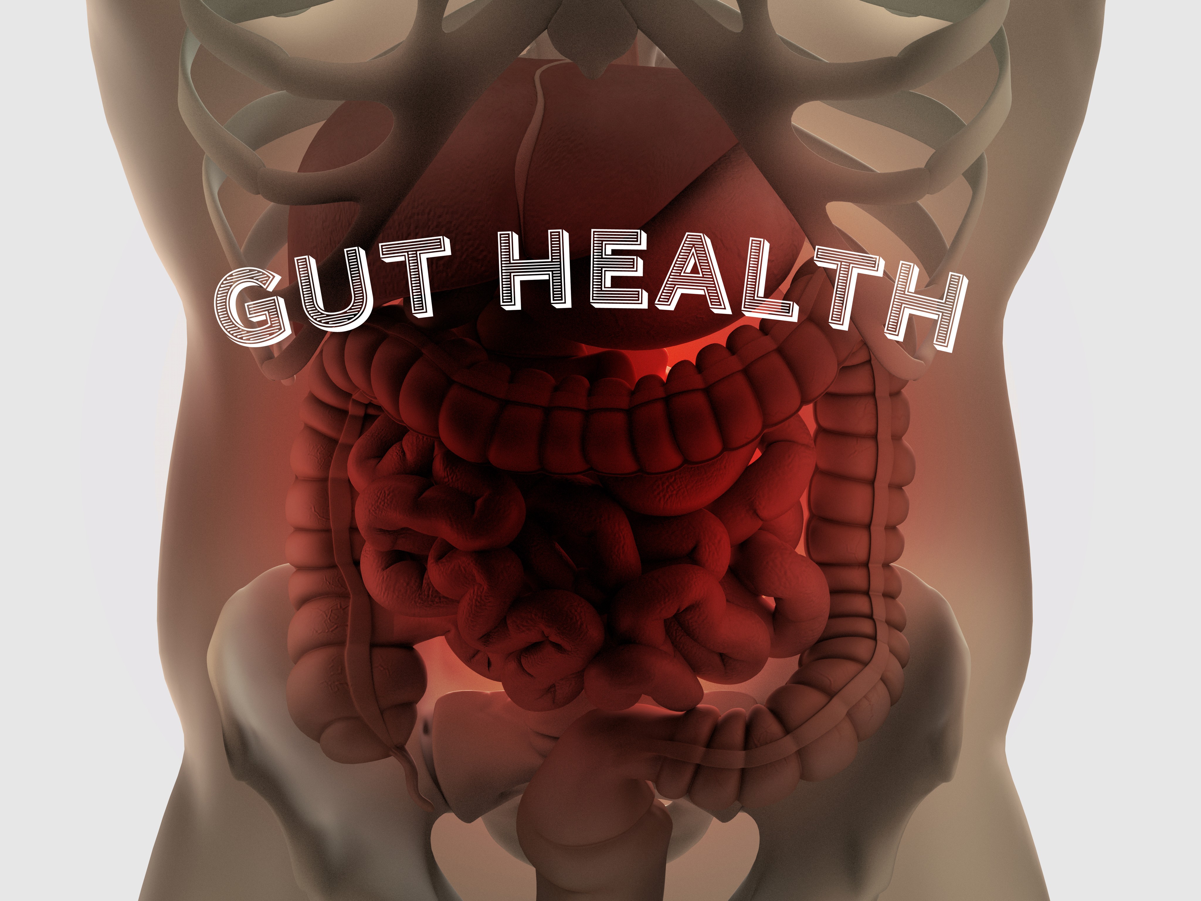 why-is-gut-health-important-to-emotional-and-mental-health