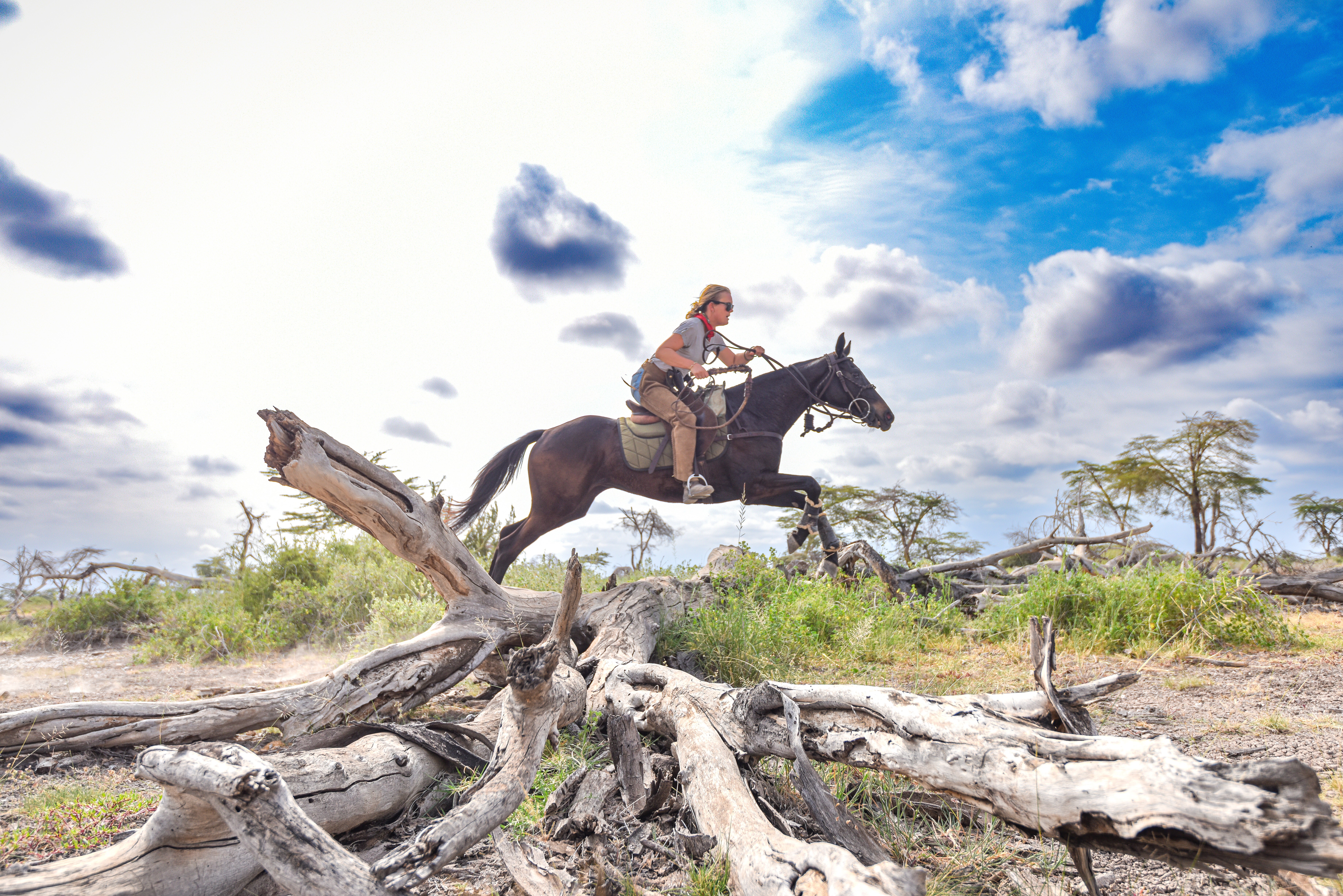 Kilimanjaro Elephant Ride, Arusha National Park, Tanzania – ryttare till häst hoppar över ett fällt träd i terrängen under ridsafari i Afrika.