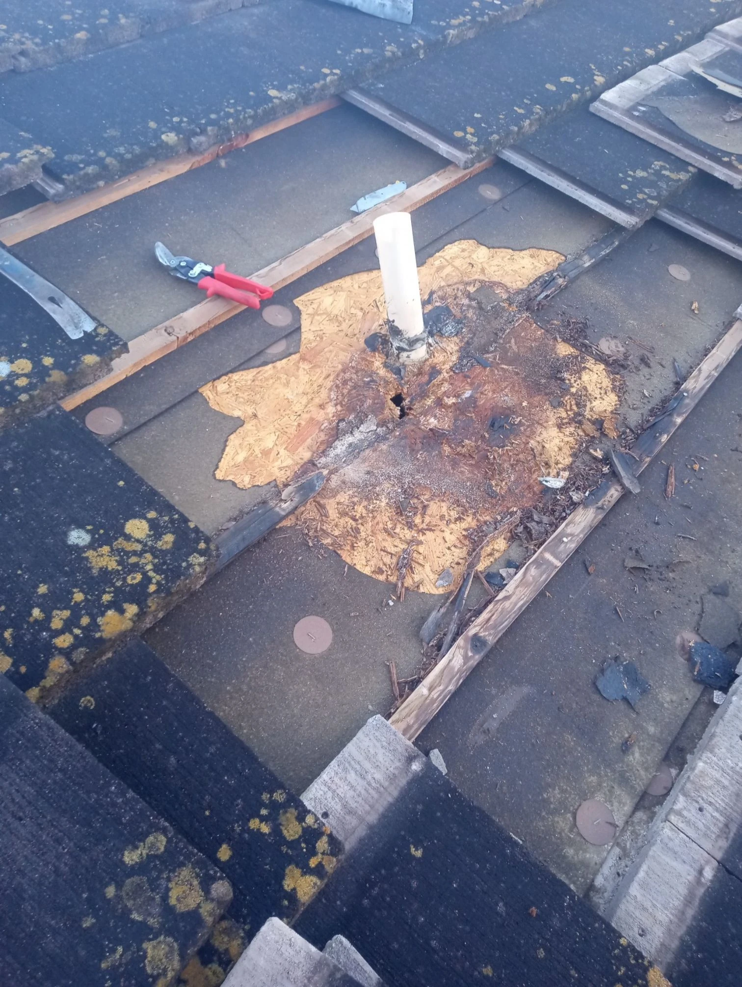 Damage exposed: tile-roof pipe flashing and decking repair in San Antonio, Texas.