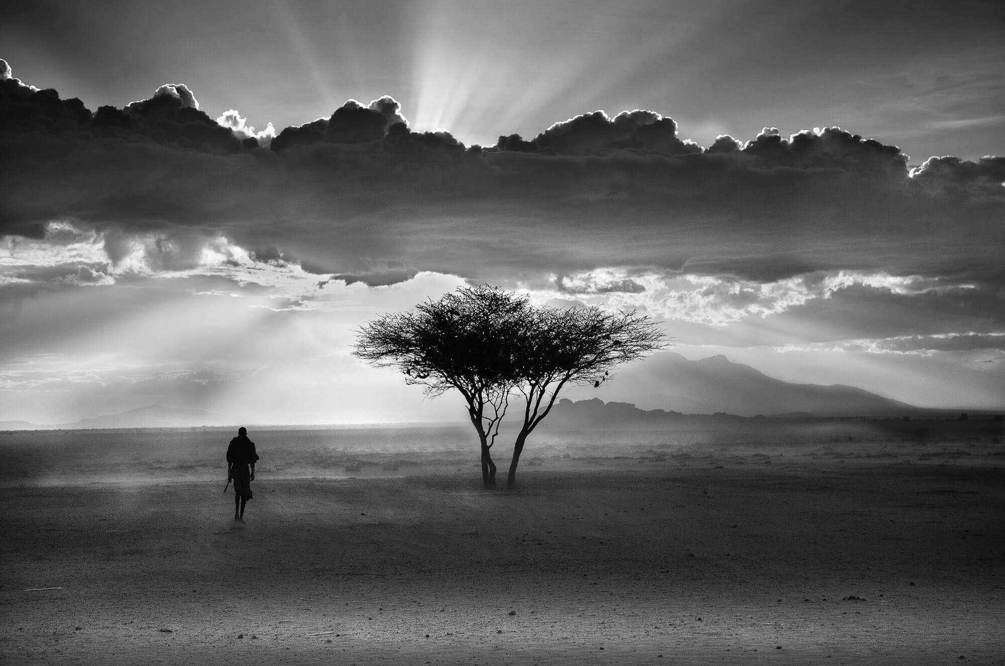 Tree Silhouette in Kenya|Picture in a bathroom|Painting in a bedroom