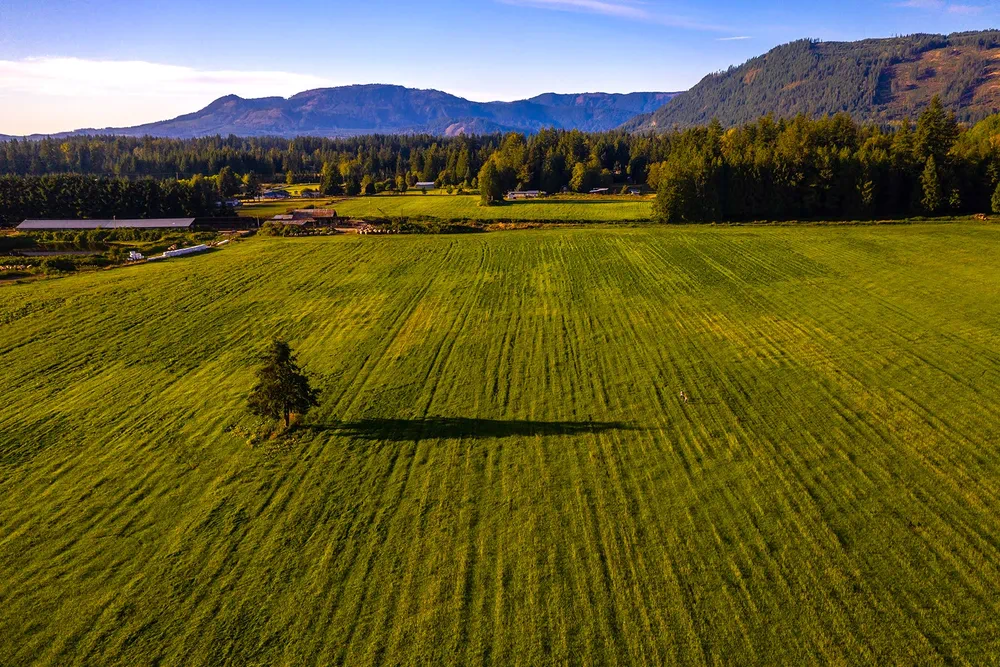 Open fields and surrounding mountains on the preserved land at Rooted Northwest.