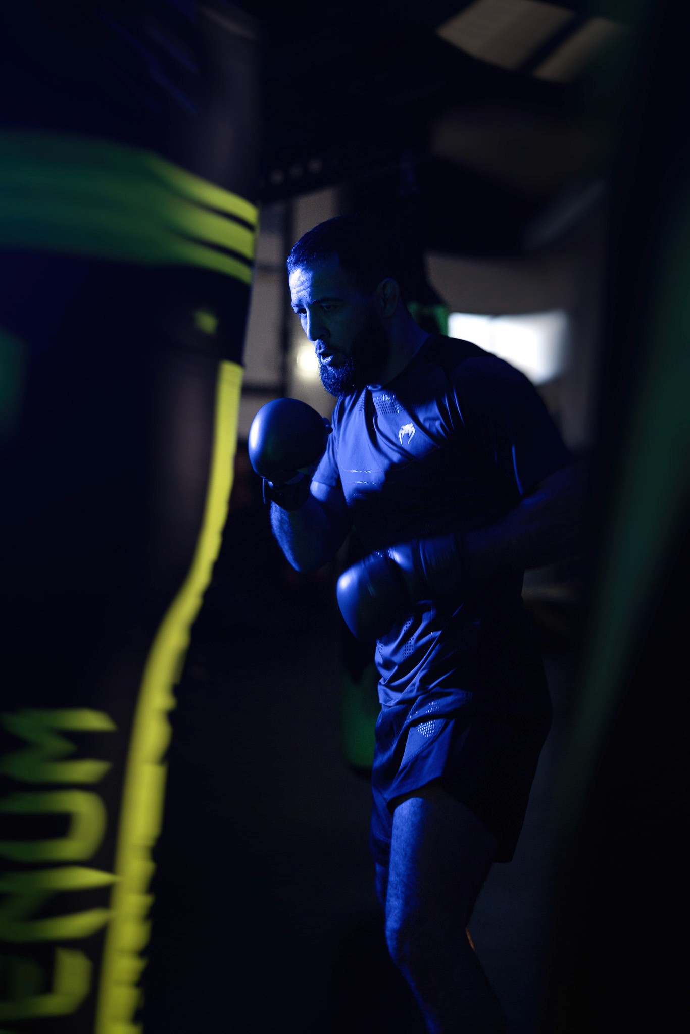 Fleur, Ortie, Photo de studio, Noir et blanc, pierretmae