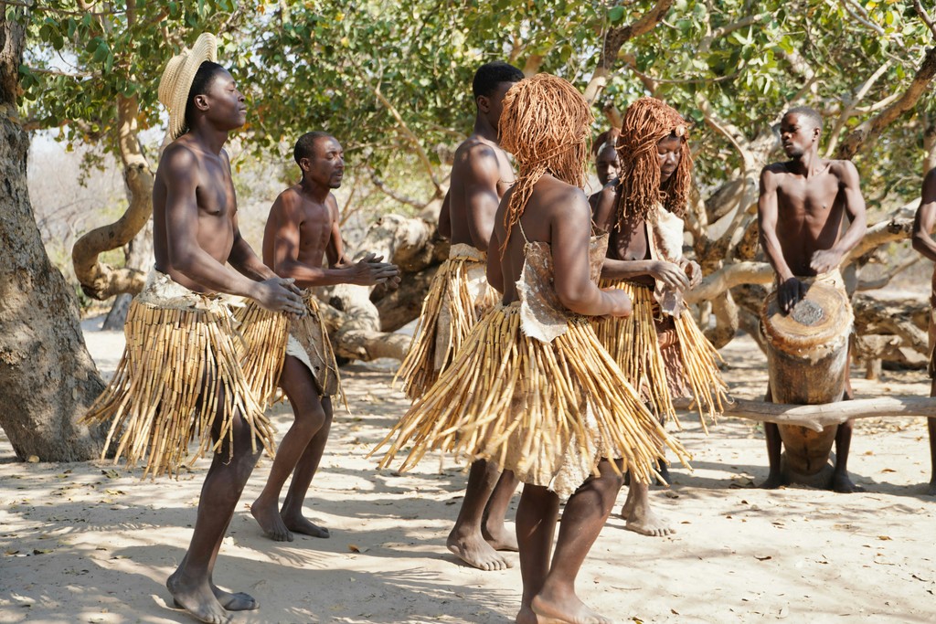 A group of indigenous dancers and drummers, adorned in traditional straw skirts and headpieces, performing under the shade of large trees, capturing the essence of cultural heritage and rhythmic expression.