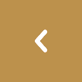 Back Arrow