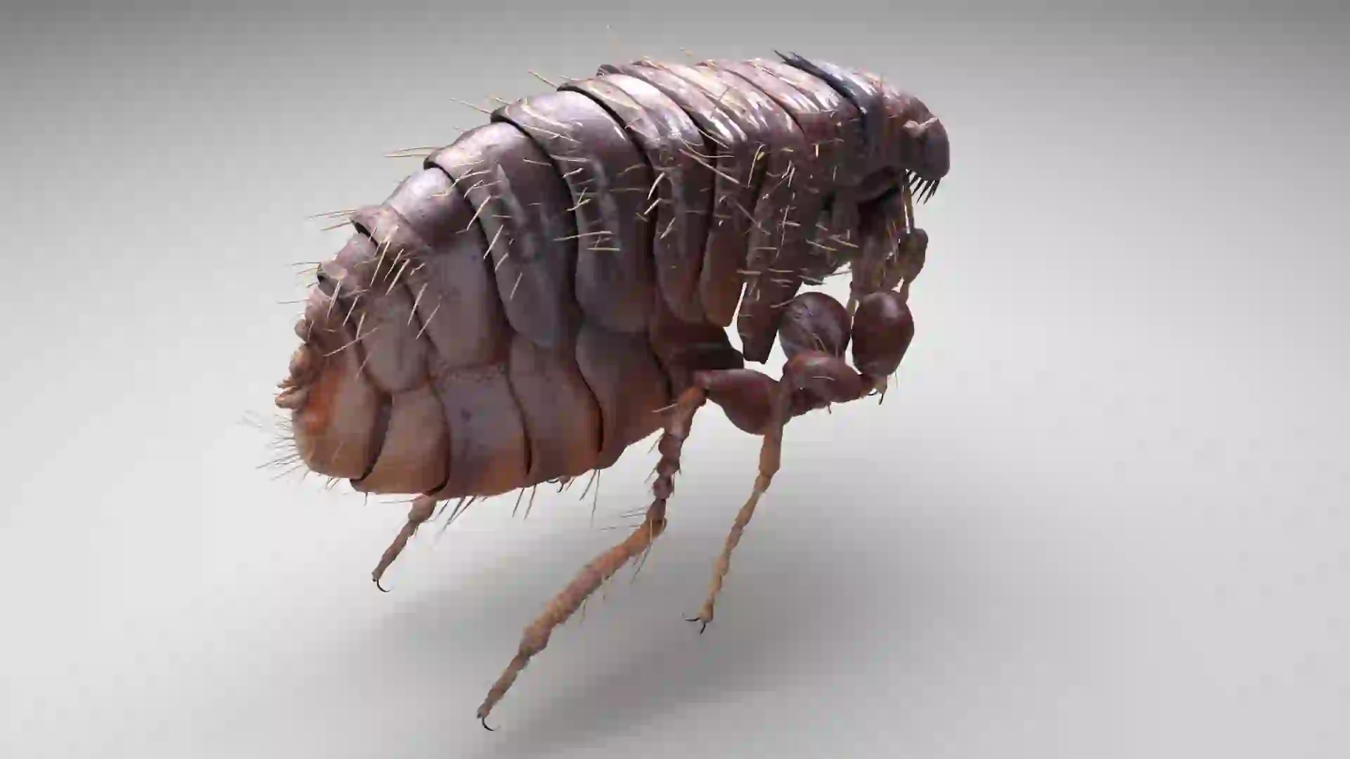 White powder or liquid splash creating dynamic motion against dark background