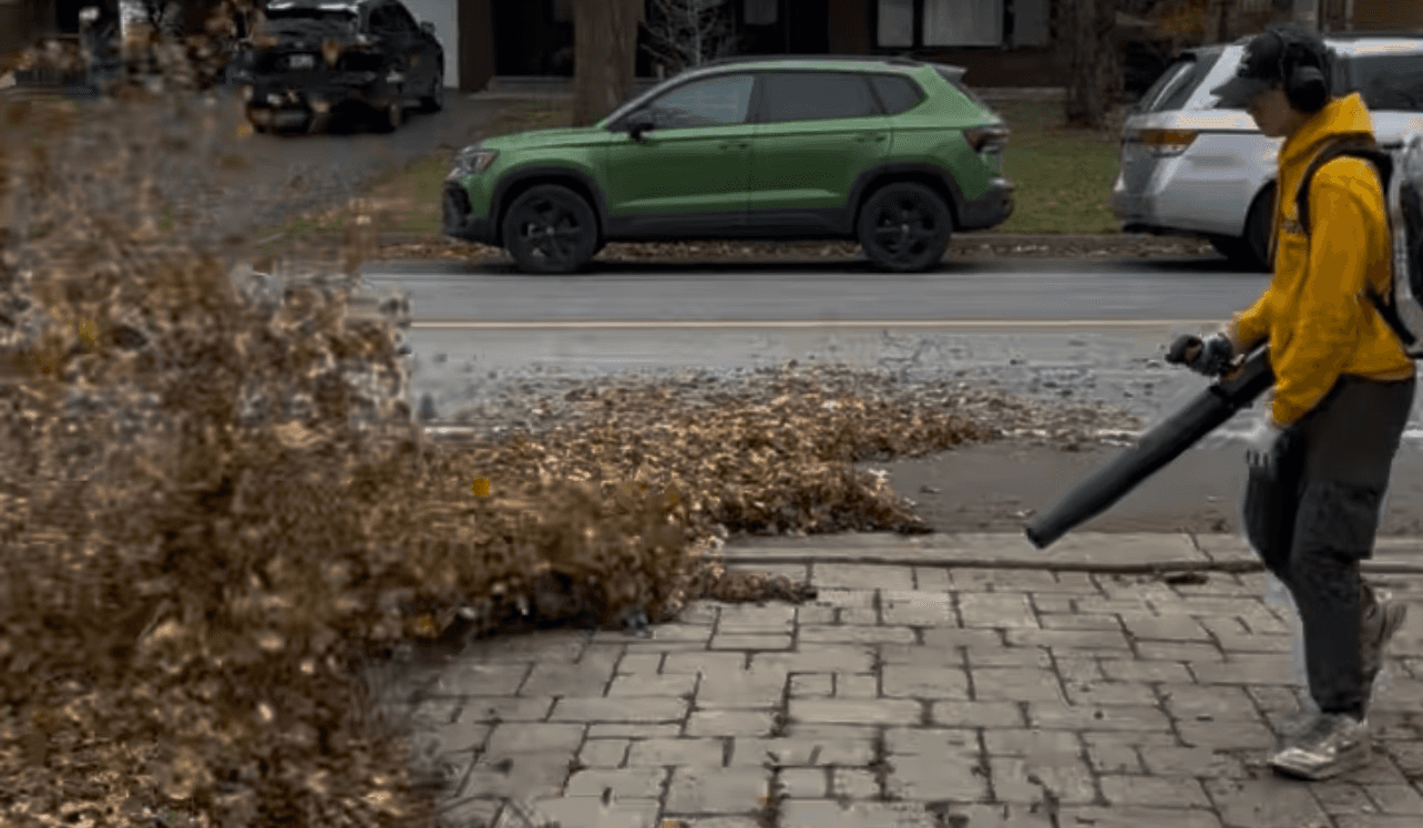 Leaf removal