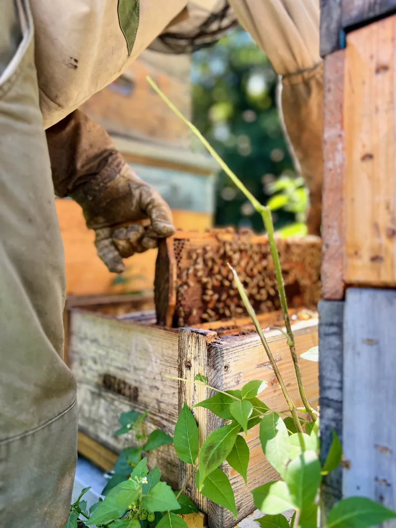 Valódi ételek az asztalra