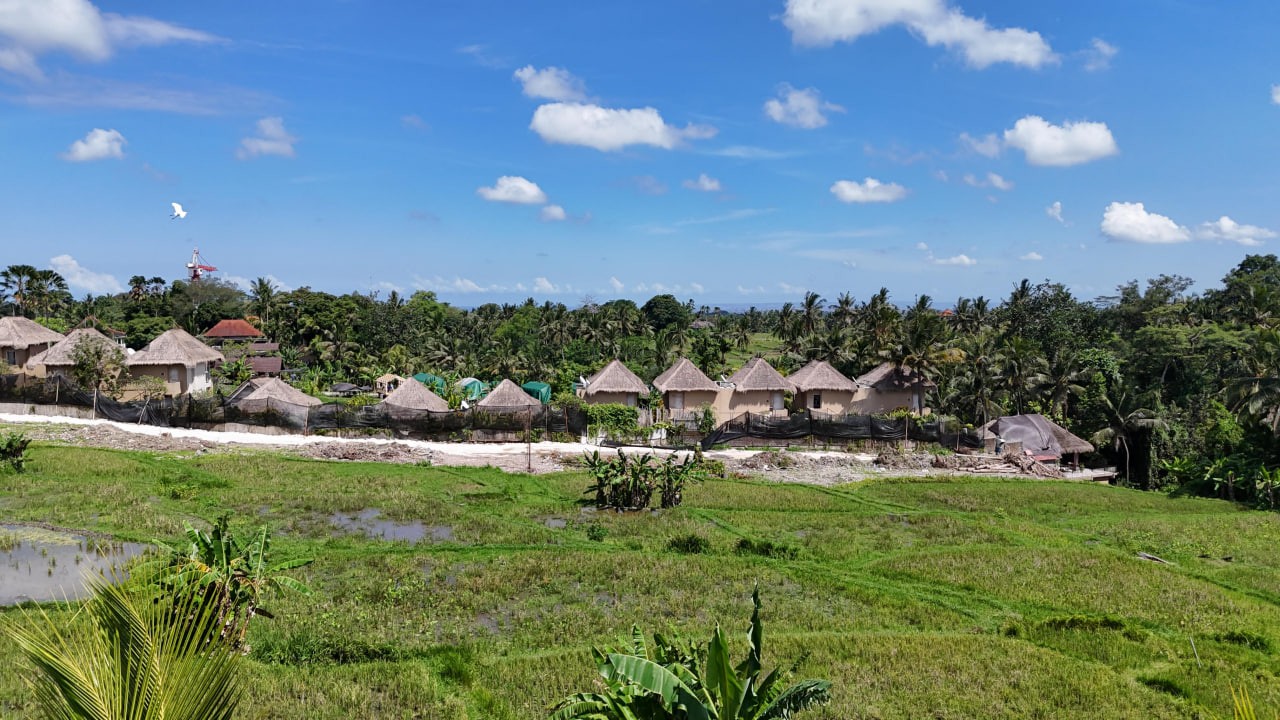 Land plot 3700 m² in Ubud, Leasehold