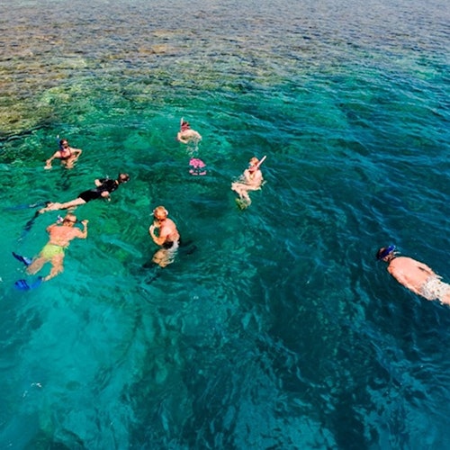 到哈馬塔島的浮潛旅程，馬爾薩阿拉姆
