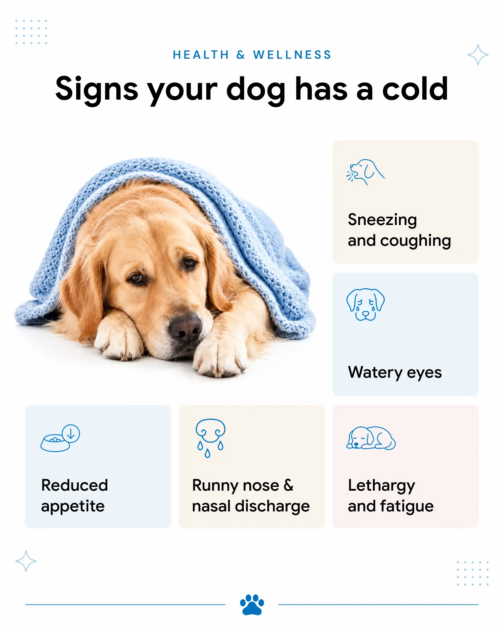 Signsn your dog has a cold.