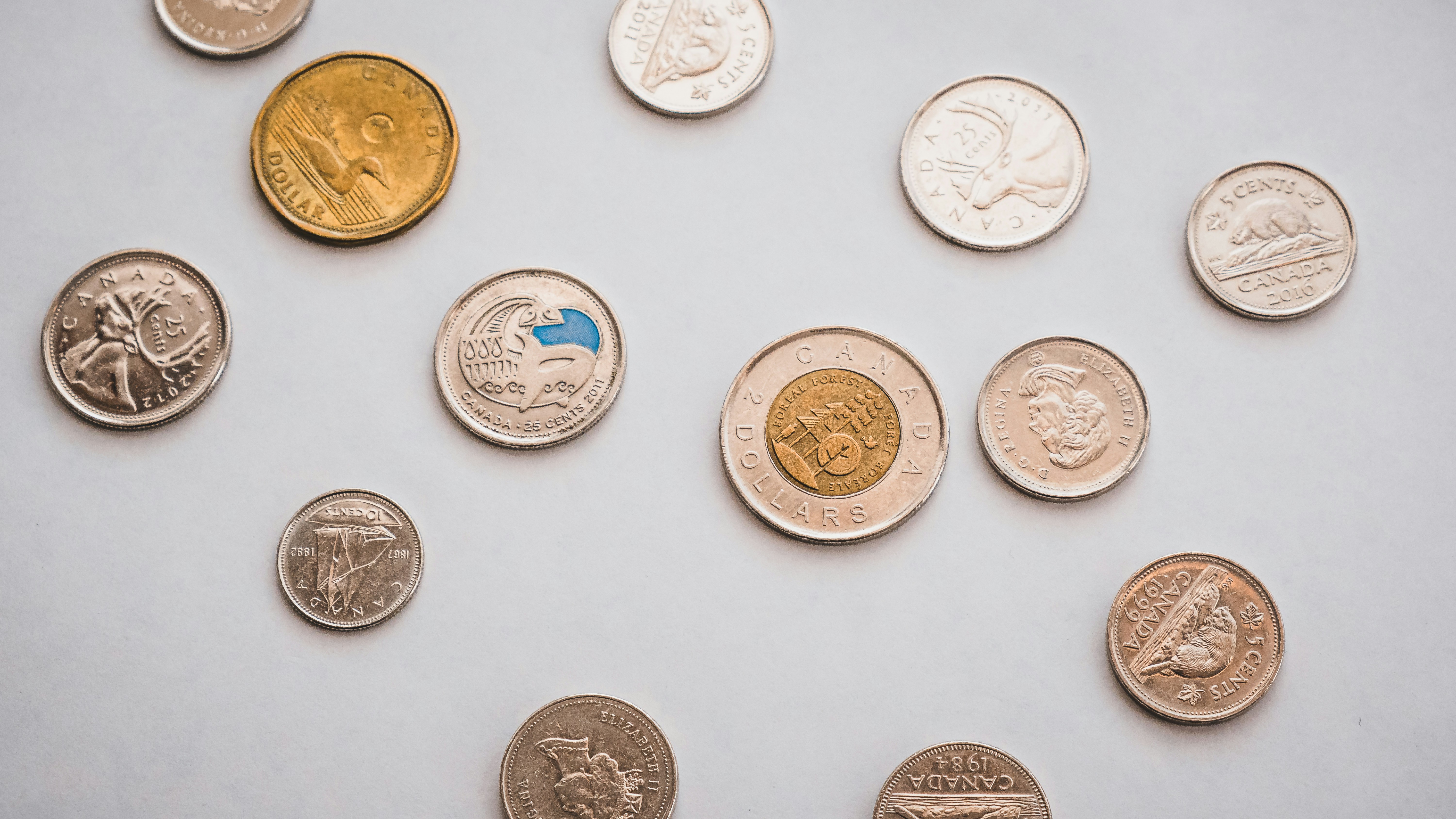 Mimo - Cash Flow Management for SMEs: Understanding Runway, Cash Burn, and Working Capital