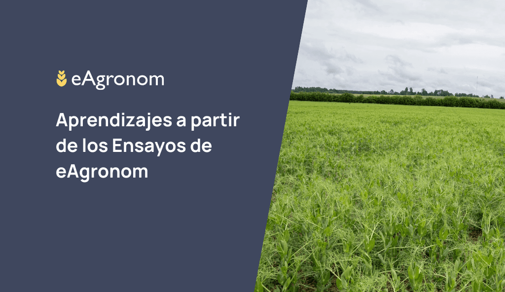 Aprendizajes a partir de los Ensayos de eAgronom