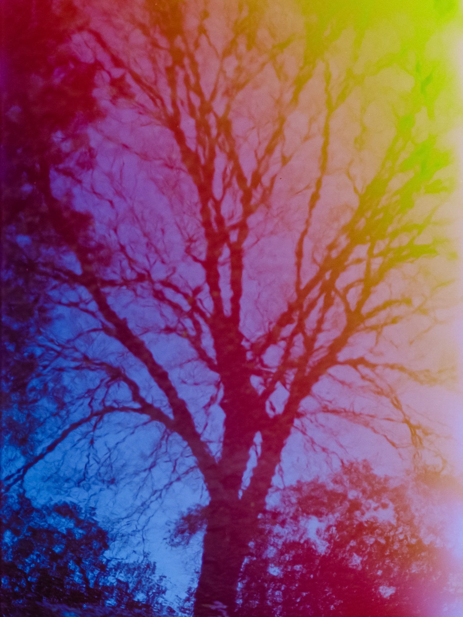 Taisei Matsumoto, index photograph 02
