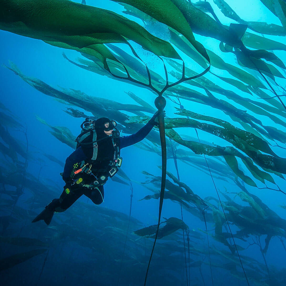 Photo of marine scientist 