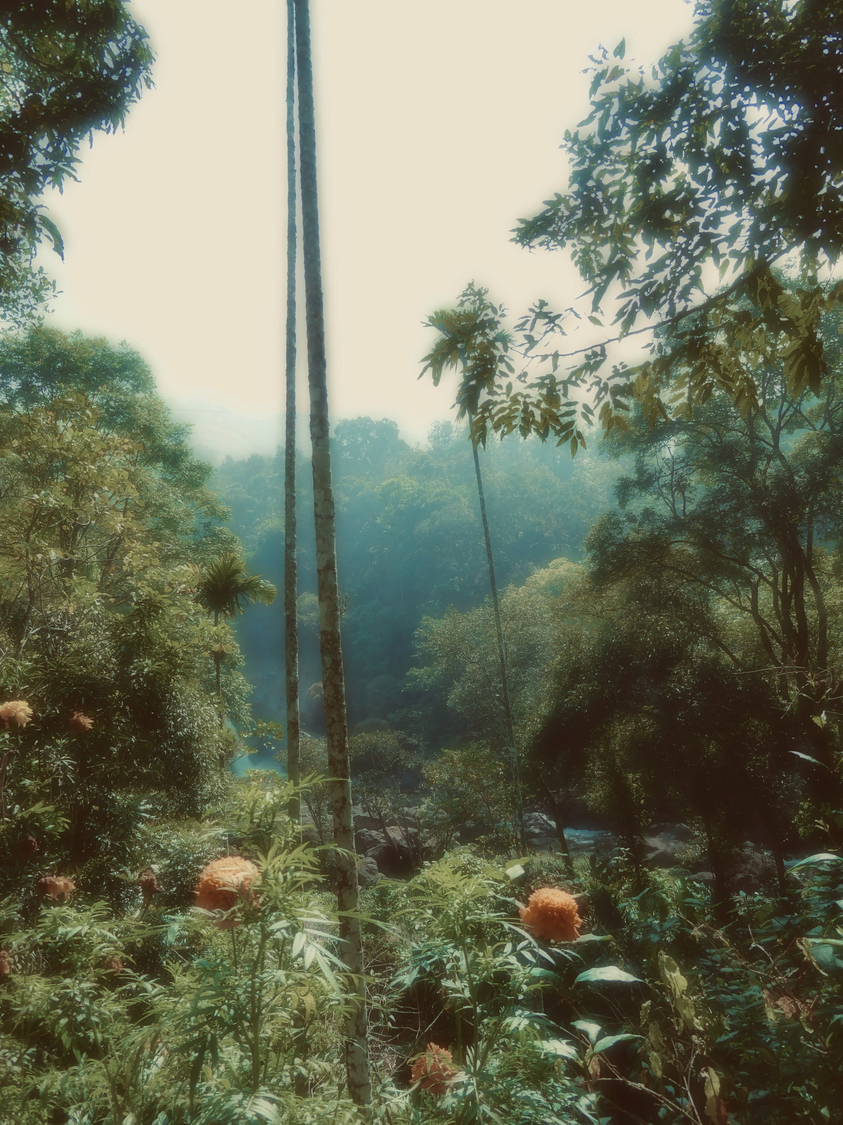 A model surrounded by photographers holding cameras