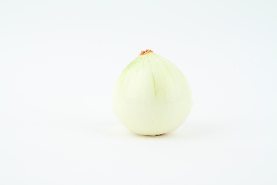 Cipolla bianca