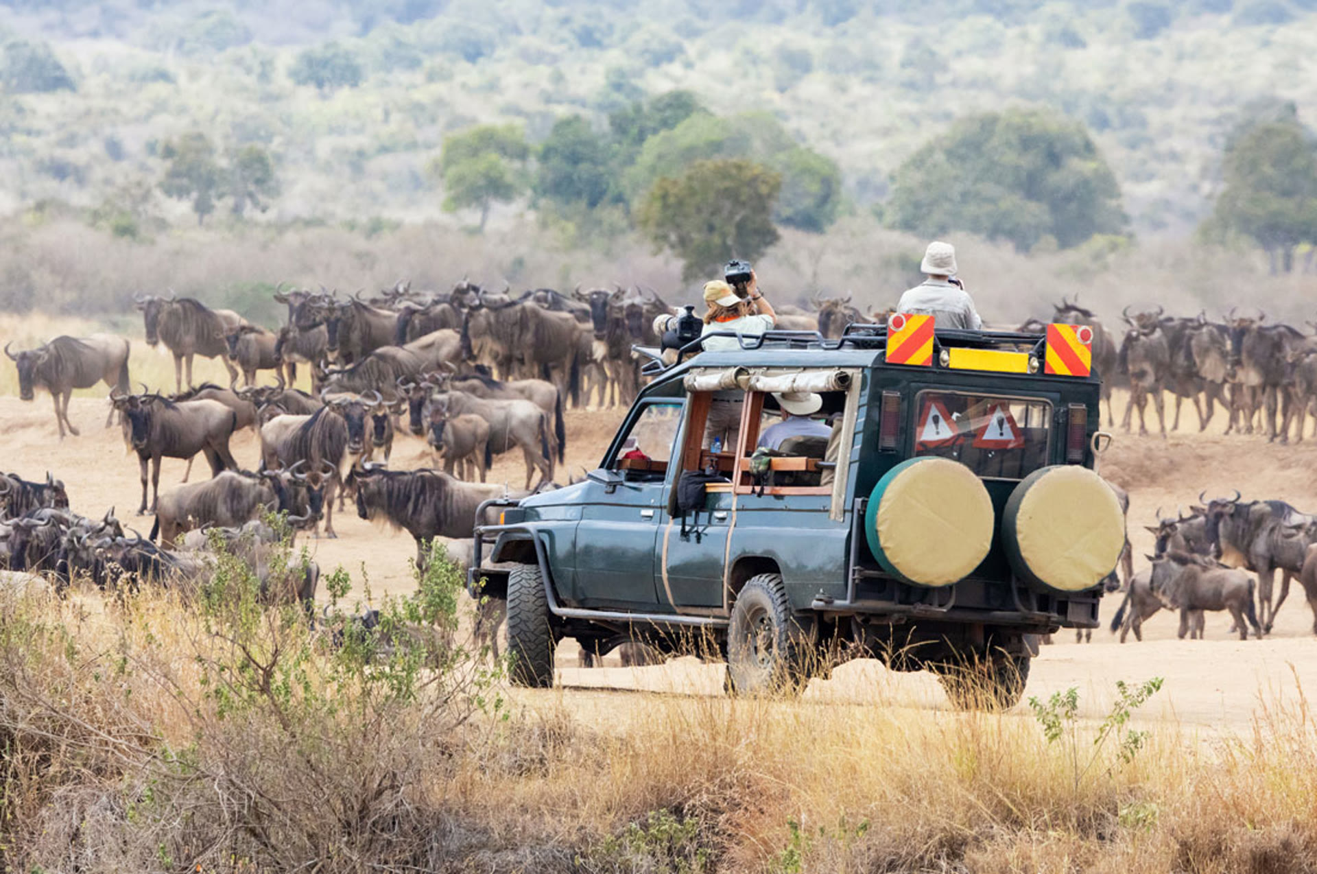 Safari vehicle beside wildebeest migration