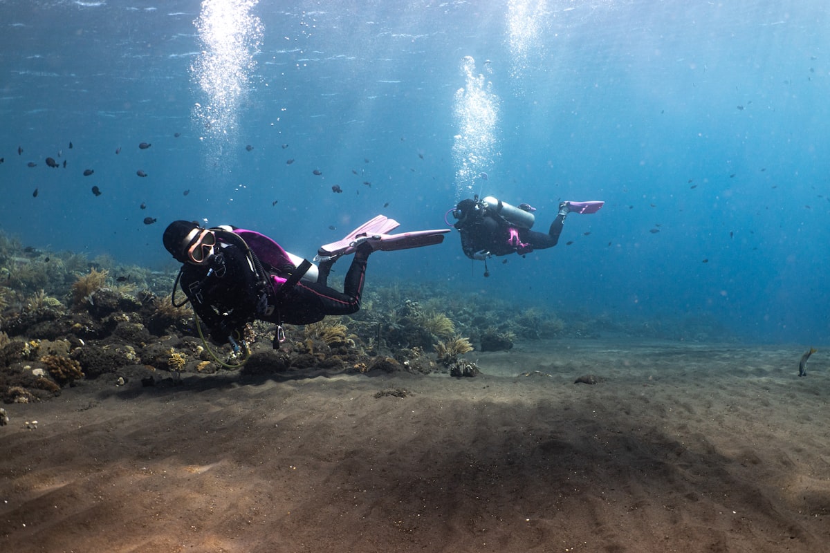 Two scuba divers swimming over a black volcanic sand slope