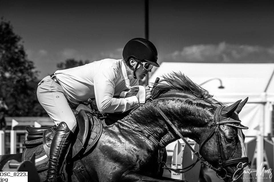 MC Weyer show jumping horse