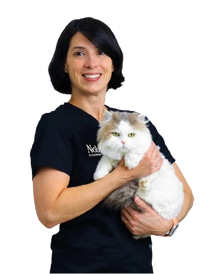 A veterinarian is holding a white dog in her arms.