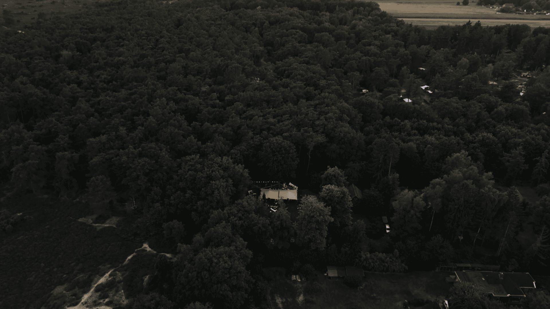Dynamic picture of a cyclist riding downhill