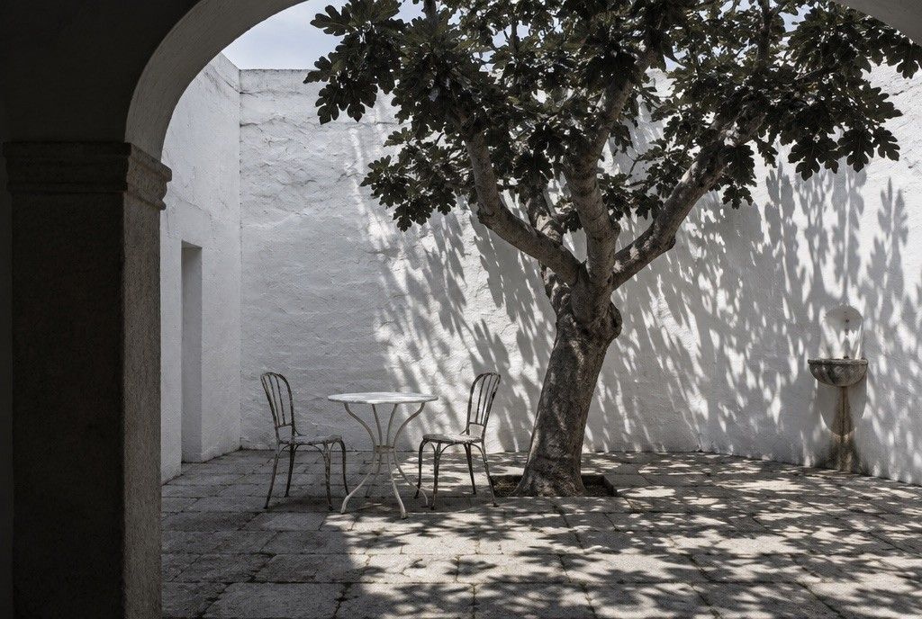 The courtyard at Casa Tarde at noon, fig tree shadow across the white wall