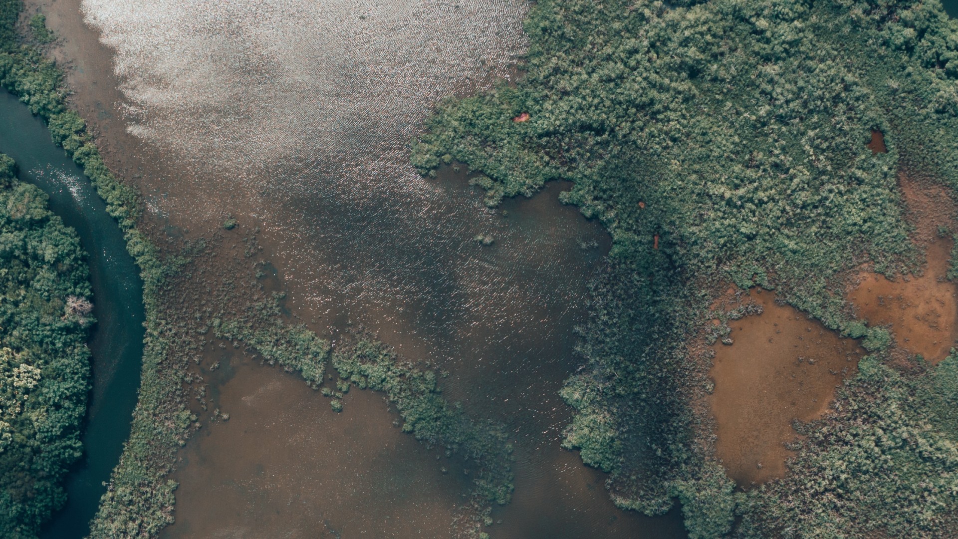 Aerial view of Punta Gorda backcountry