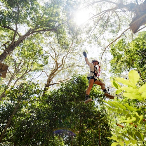 شخص يعبر مسارًا عاليًا بين الأشجار الطويلة في يوم مشمس، مرتديًا حزام أمان وخوذة.