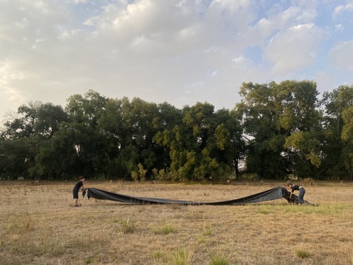 Grupo de artistas en actividad al aire libre en los terrenos de Cobertizo, Jilotepec, México