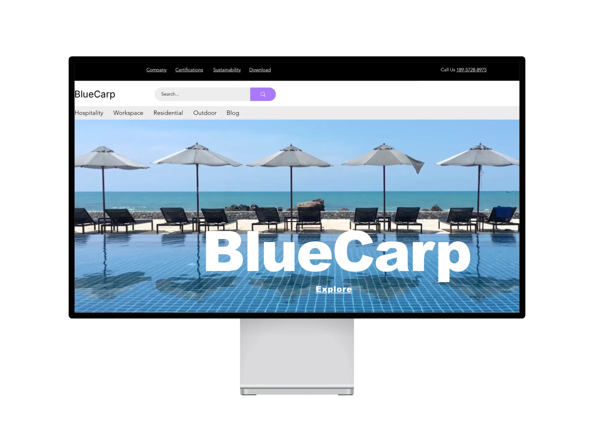 Client website design and development project for international markets