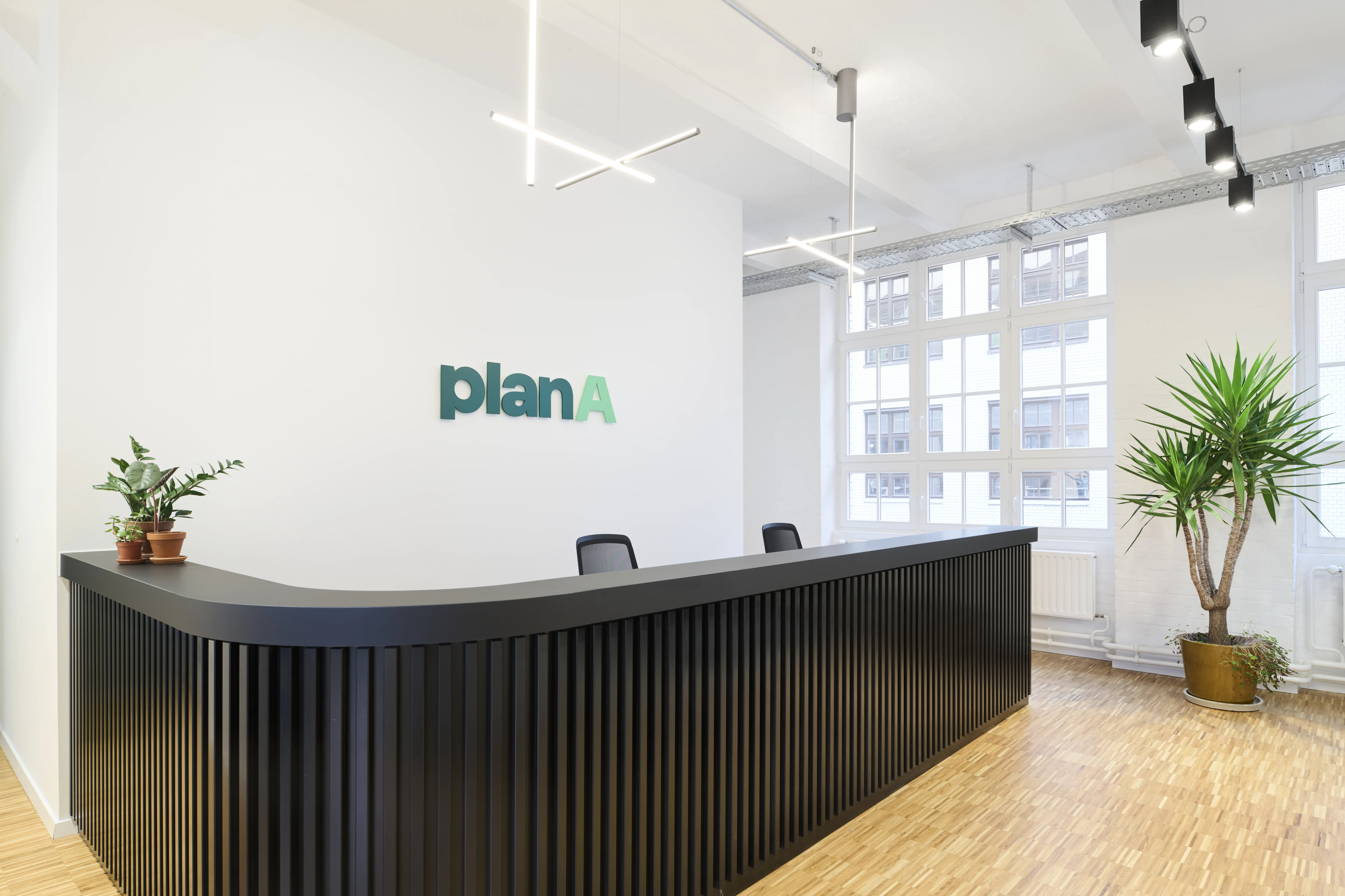 Reception at PLAN A with a curved black slatted counter, the green planA logo on a white wall, potted plants, large industrial windows and minimalist black track lighting.