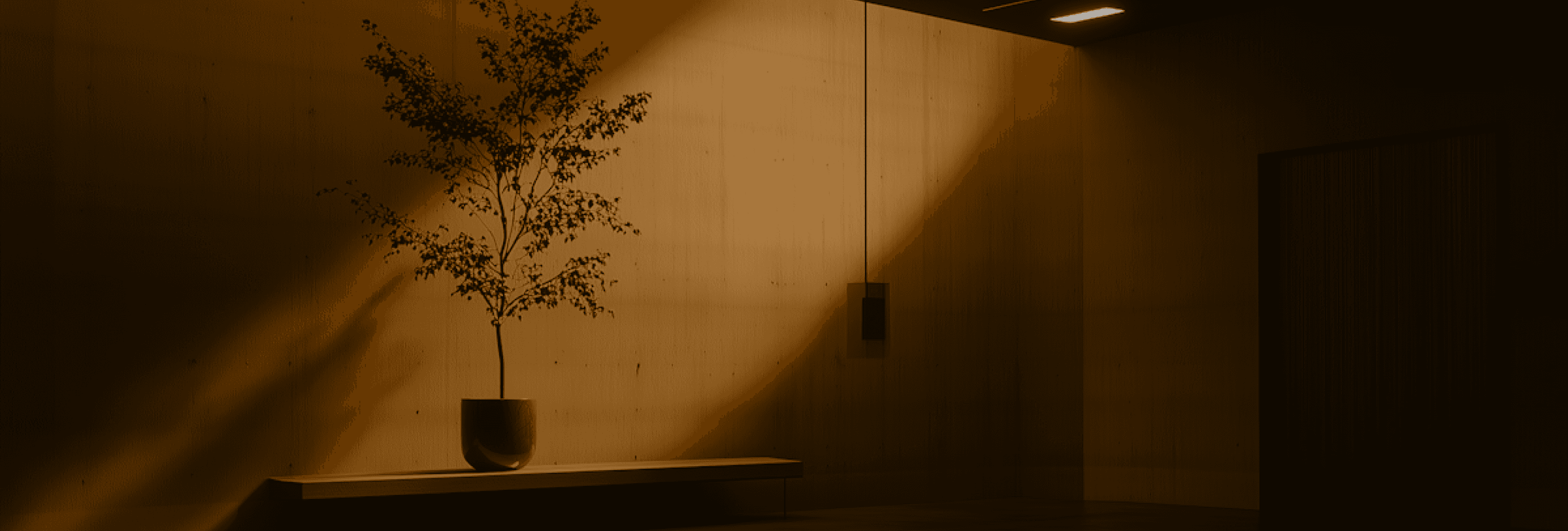 Cta Image