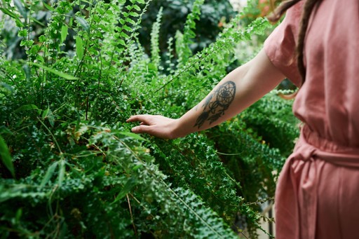 A person in a pink outfit gently touches lush green plants in a vibrant garden setting.
