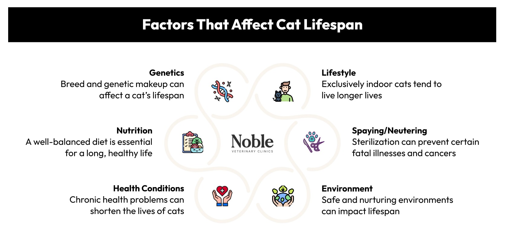 What Are The Factors In A Cat’s Lifespan