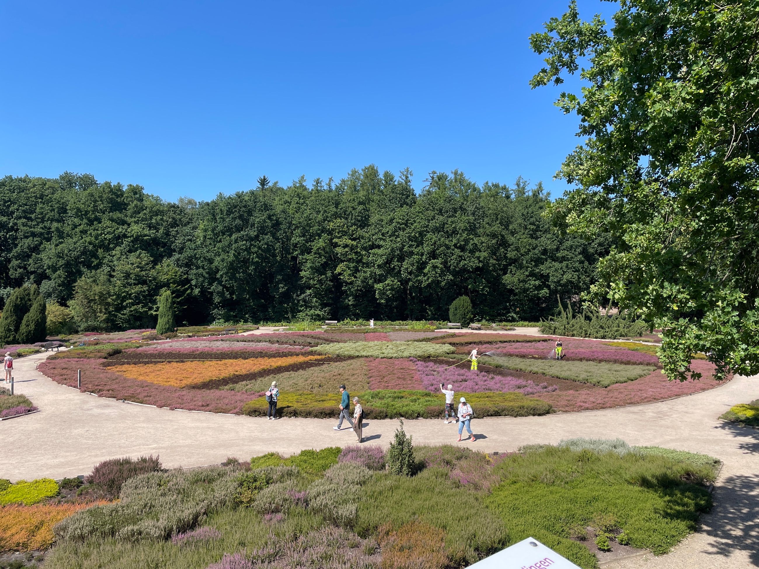 Die Heide