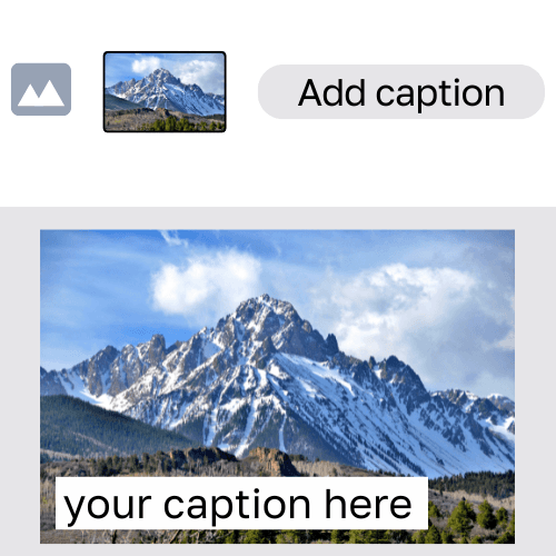 Typeset add captions to images