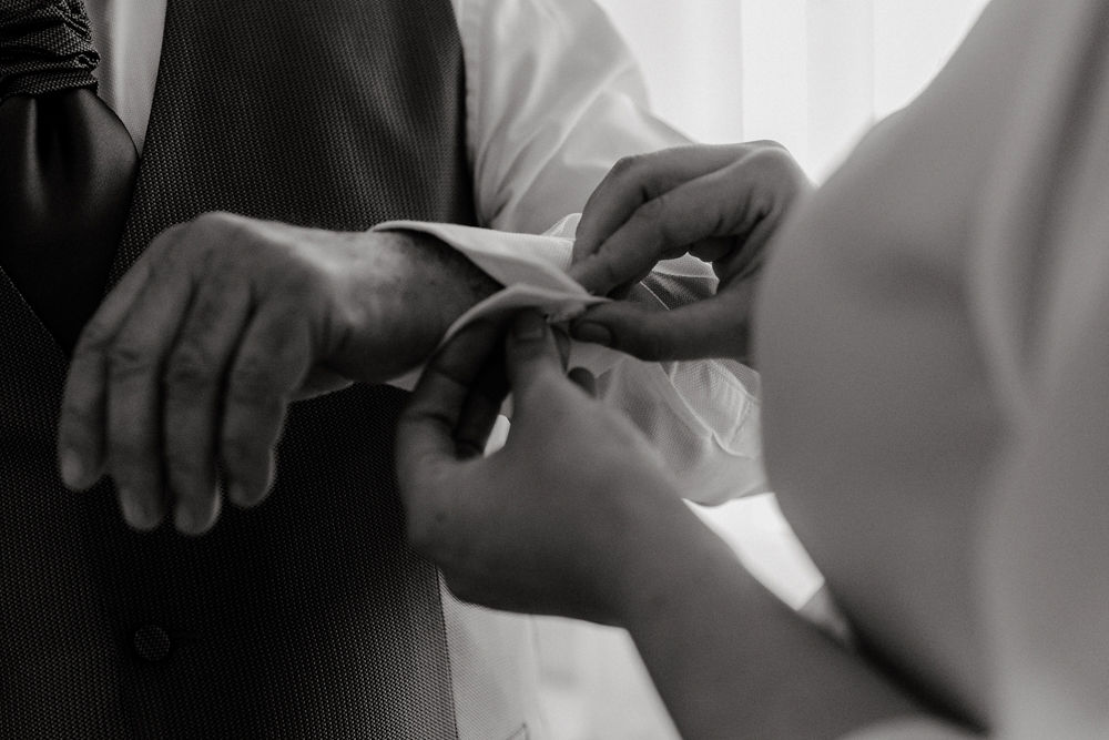 Close-up of evergreen foliage, showcasing vibrant green needles densely packed together.