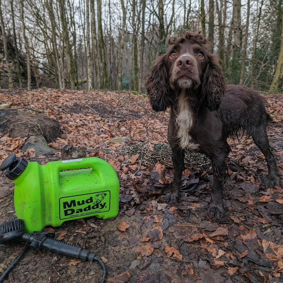 Mud Daddy rainy days