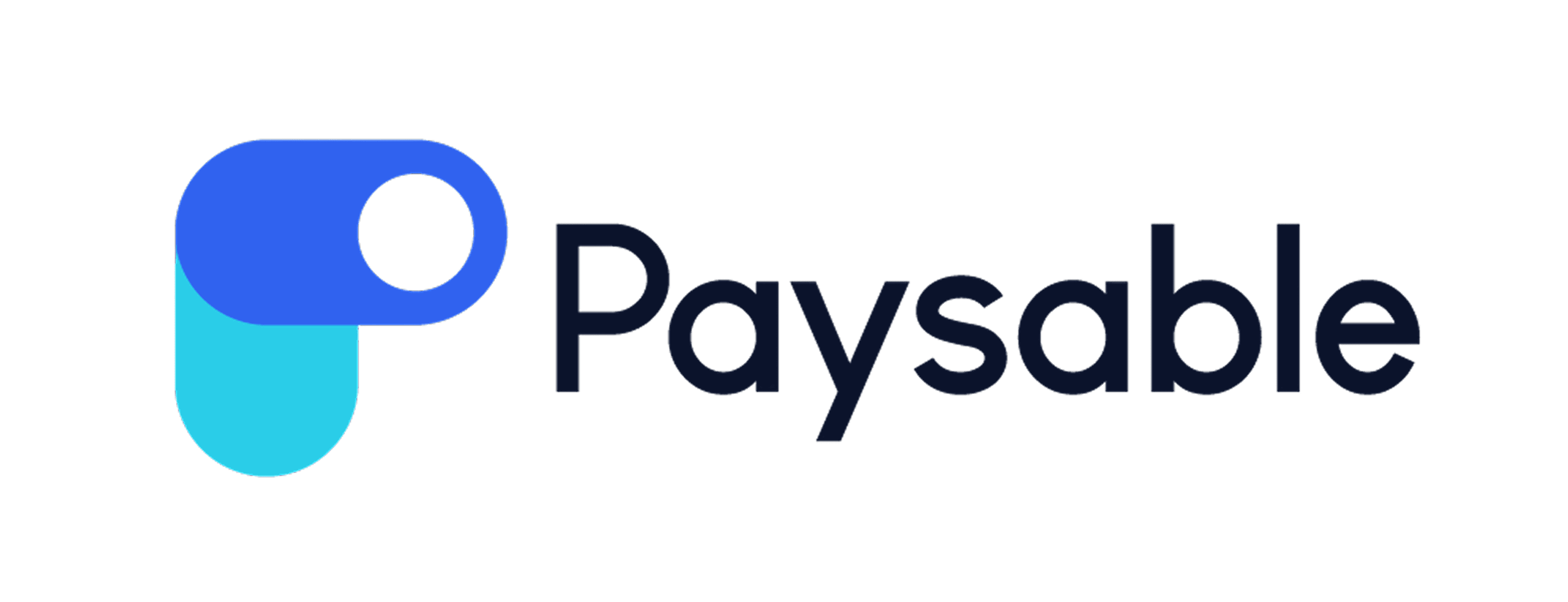 paysable 로고
