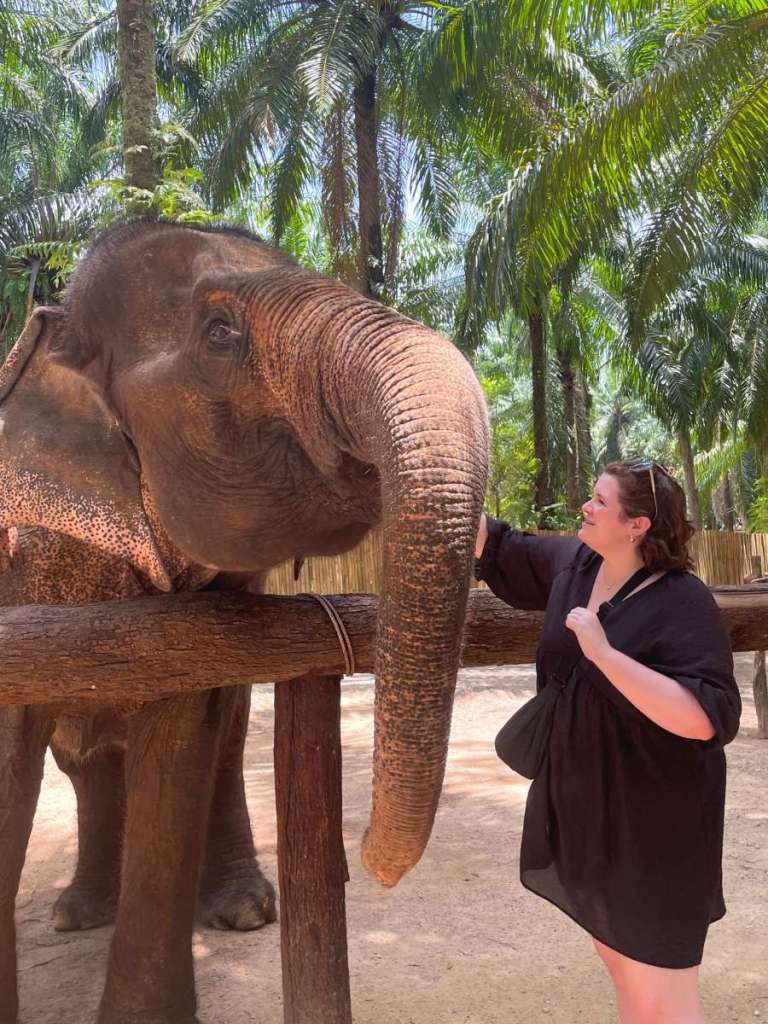 Feeding elephants, Thailand