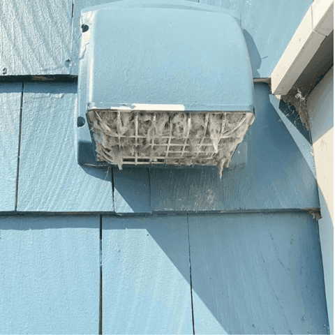 dryer vent