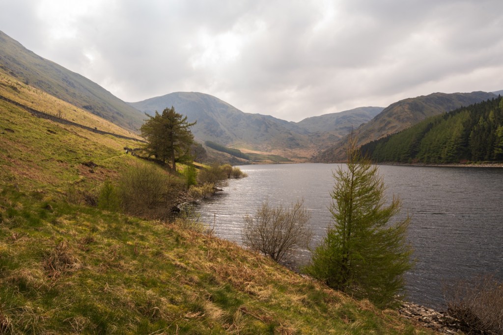 The bank of Haweswater reservoir with mountains in the background and a rich green forest on the opposite shore.